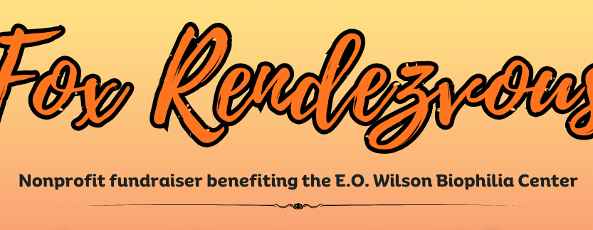 Fox Rendezvous